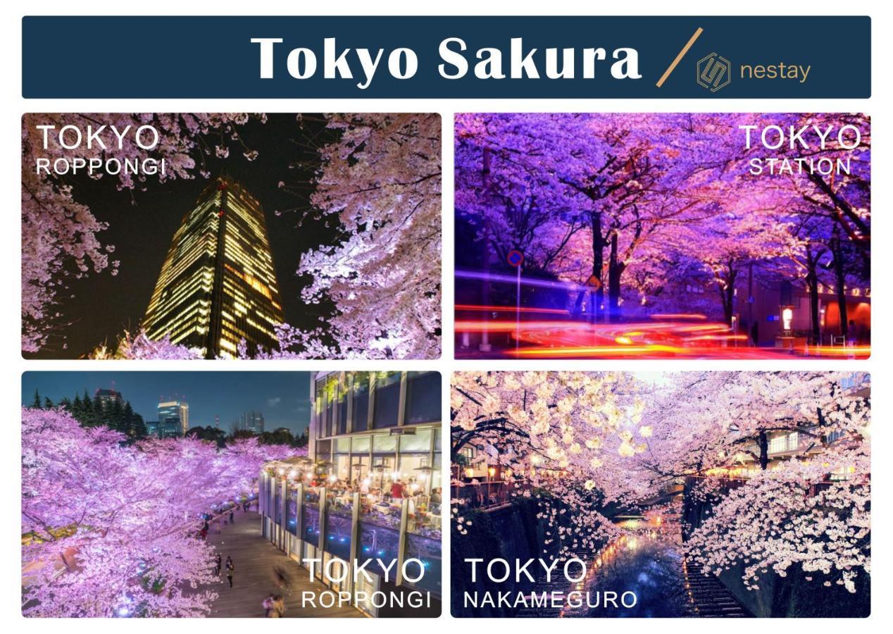 Nestay Villa Tokyo Otsuka Luaran gambar